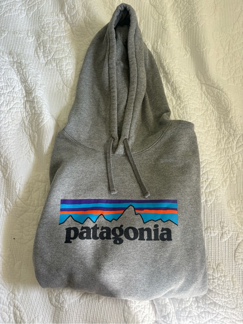 Patagonia Sweatshirt